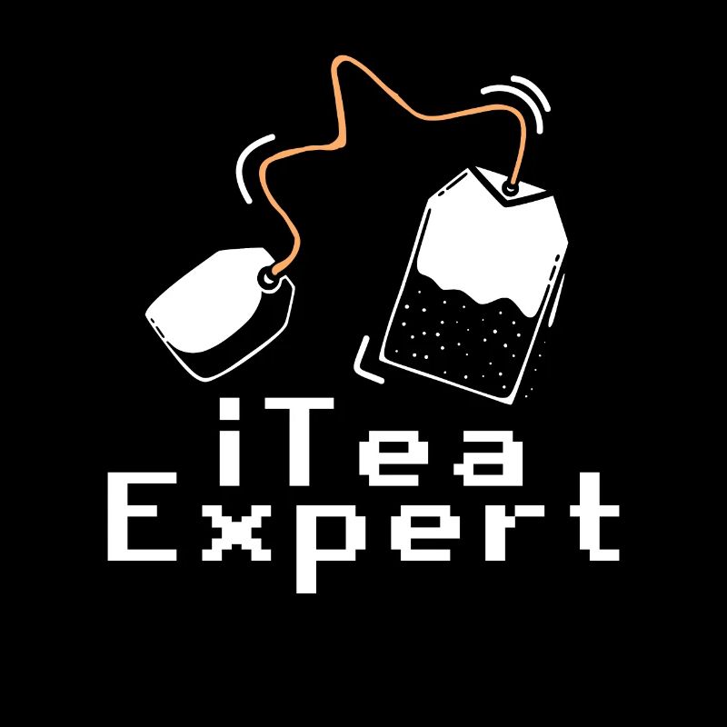 Itea-Experte Computer Software Programmierer