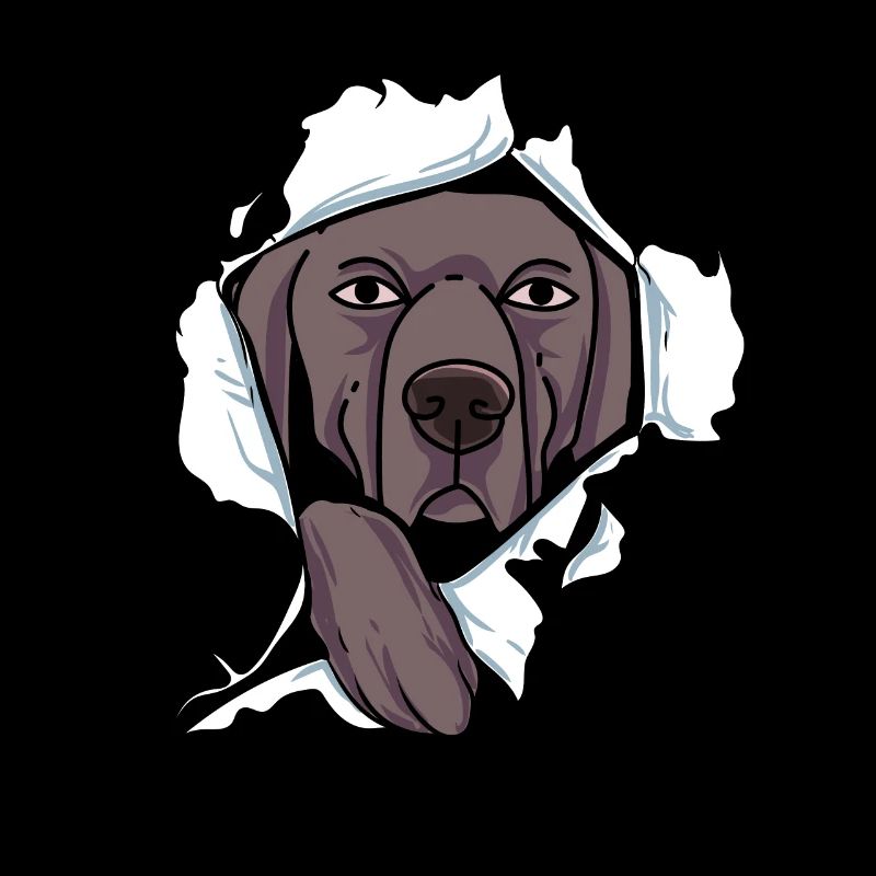 Weimaraner