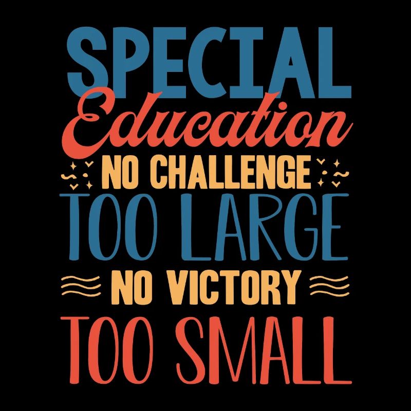 Special Needs Education, Special Education