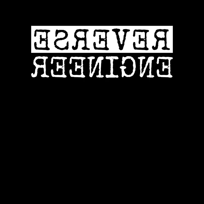 Reverse Engineer Softwareingenieur Developer