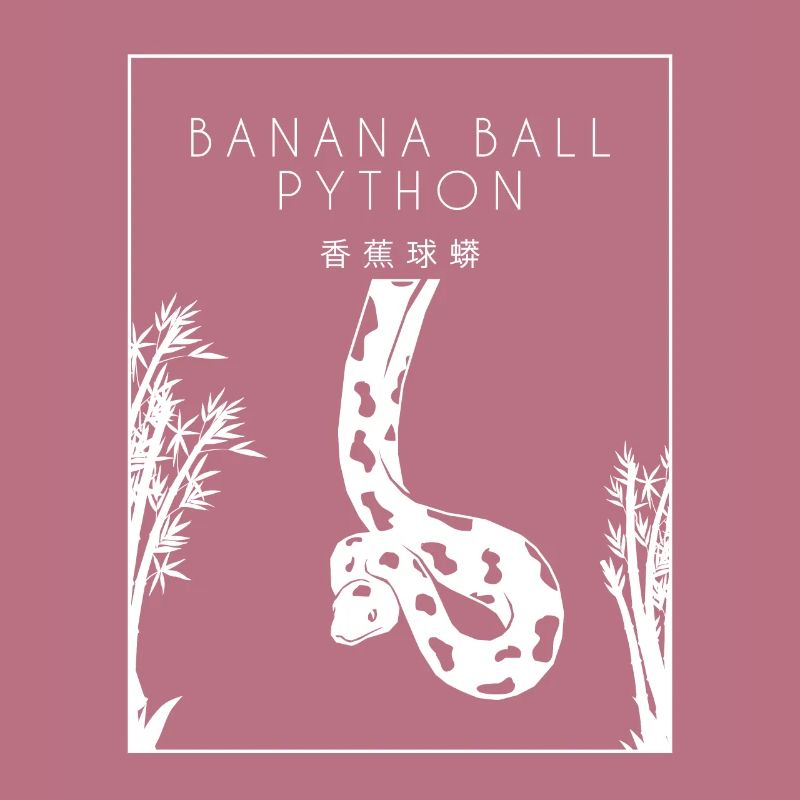 Boule de banane Python Hanzi Chinois Hanzi Snake Banane