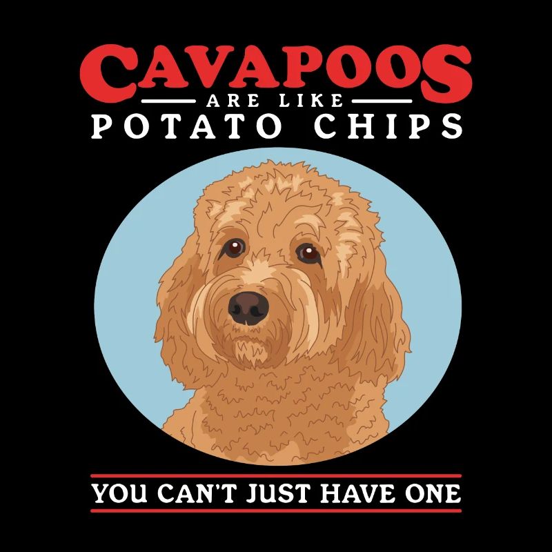 Cavapoo Hund Cavoodle Hundebesitzer Geschenk