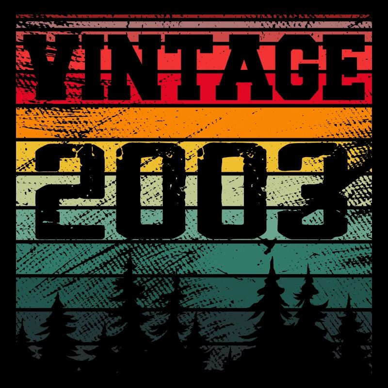 2003 Vintage Geburtstagsgeschenk 2003 Retro