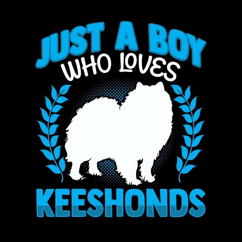 Junge der Wolfsspitz liebt Deutscher Spitz