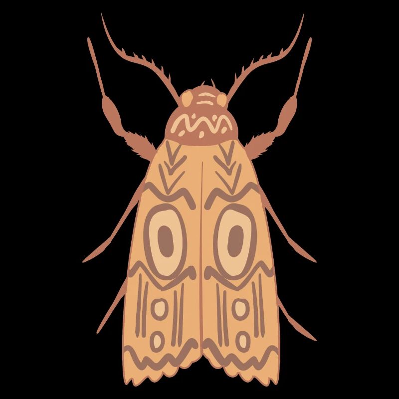 Aboriginal