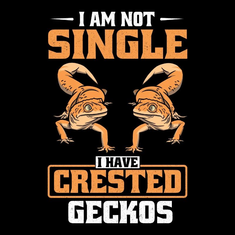 Crowned Gecko Crested Gecko Double Finger Gecko