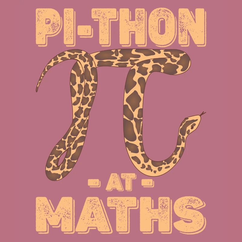 Pi-thon en maths