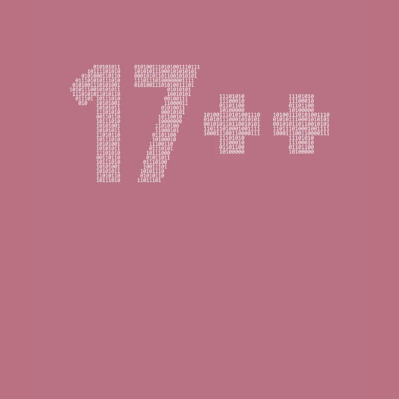 17++ Programmer Developer Coder 18th Birthday