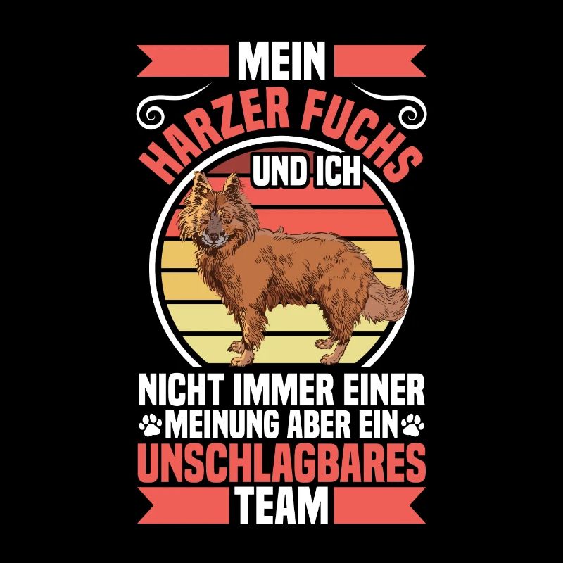Harzer Fuchs is unbeatable herding dog herding fox