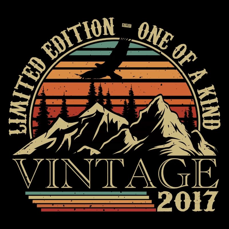 2017 Vintage Cadeau Anniversaire 2017 Retro 2017