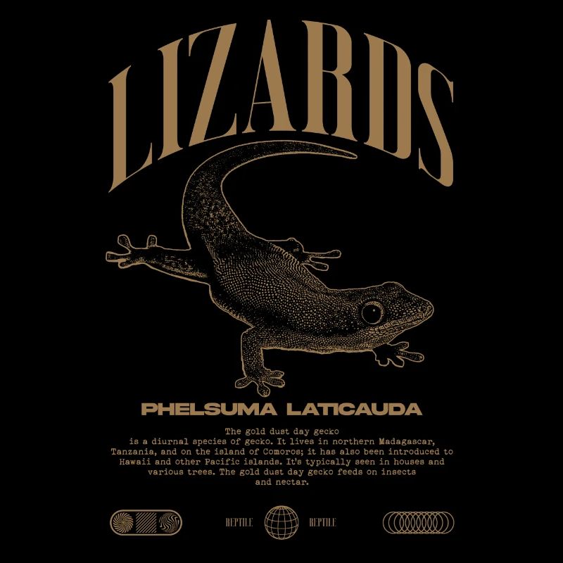 Phelsuma laticauda Tagesgecko Eidechsenpfleger