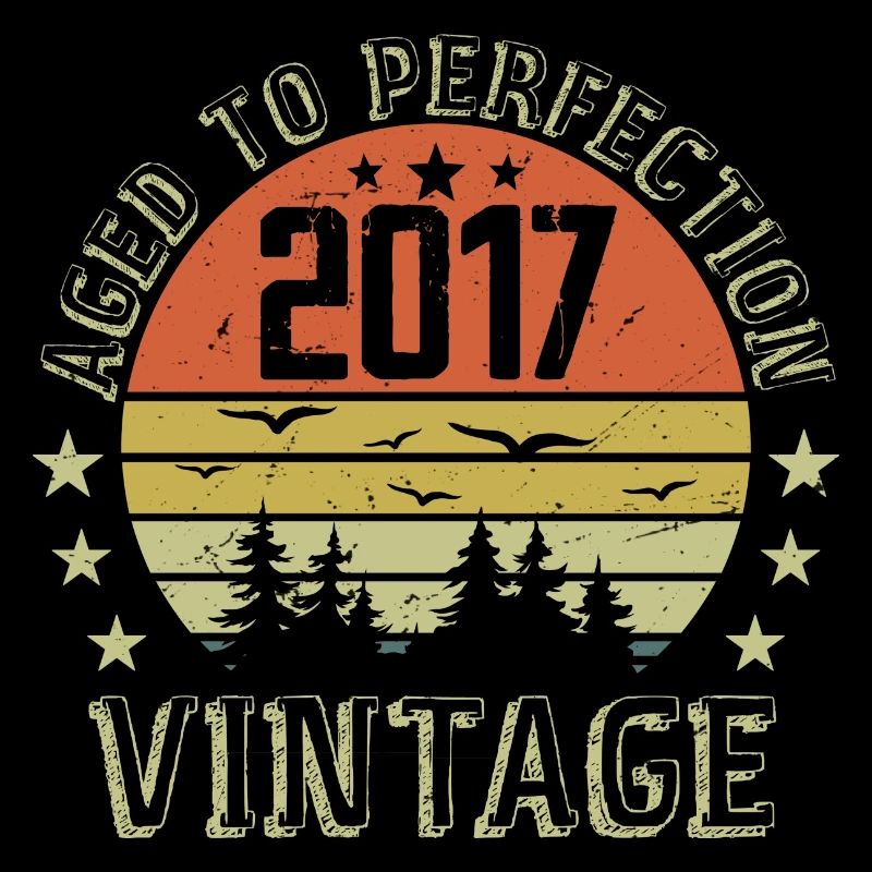 2017 Vintage Born 2017 Birthday Gift 2017