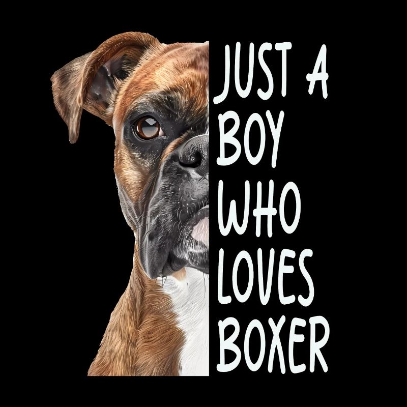 Boxer