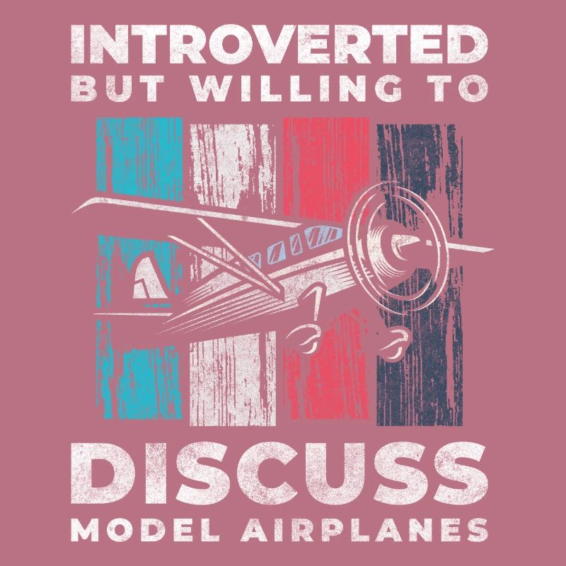 Model Airplane Model Flying Machine Flight