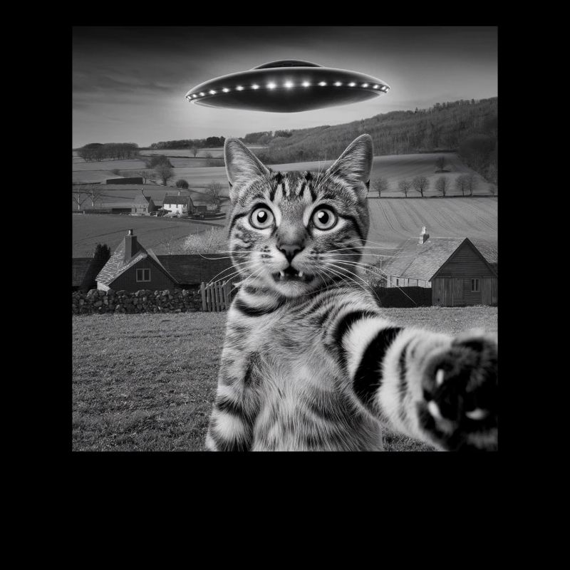 Alien Encounter Cat Selfie