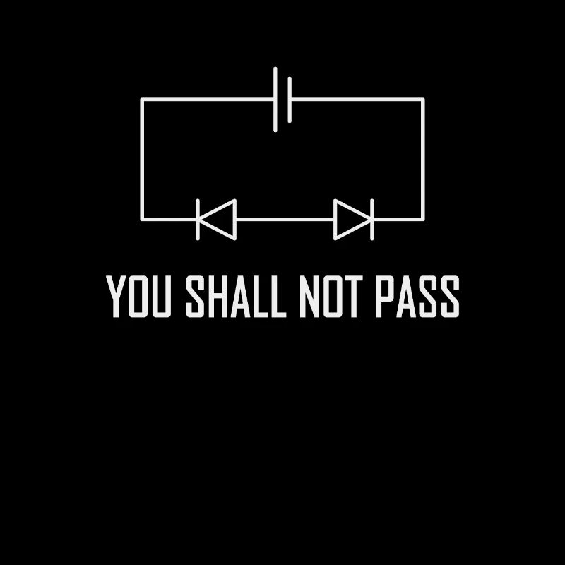 You Shall not Pass Diode Elektriker Geschenk