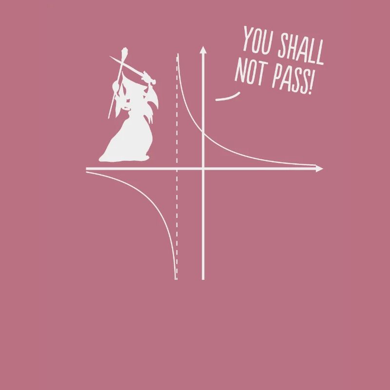 Funny Math Teacher Gift Math Wizard