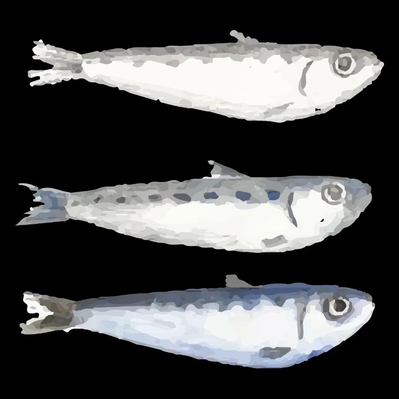 sardine