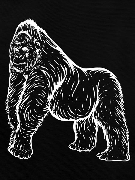 Gorilla