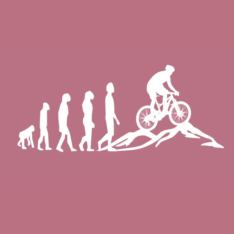 VTT VTT Evolution Biking