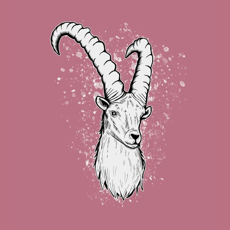 Steinbock Sternzeichen Geschenk