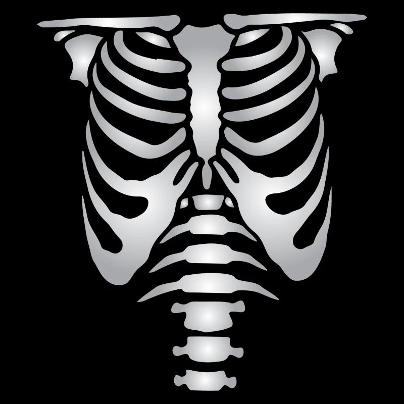 Human skeleton bones torso