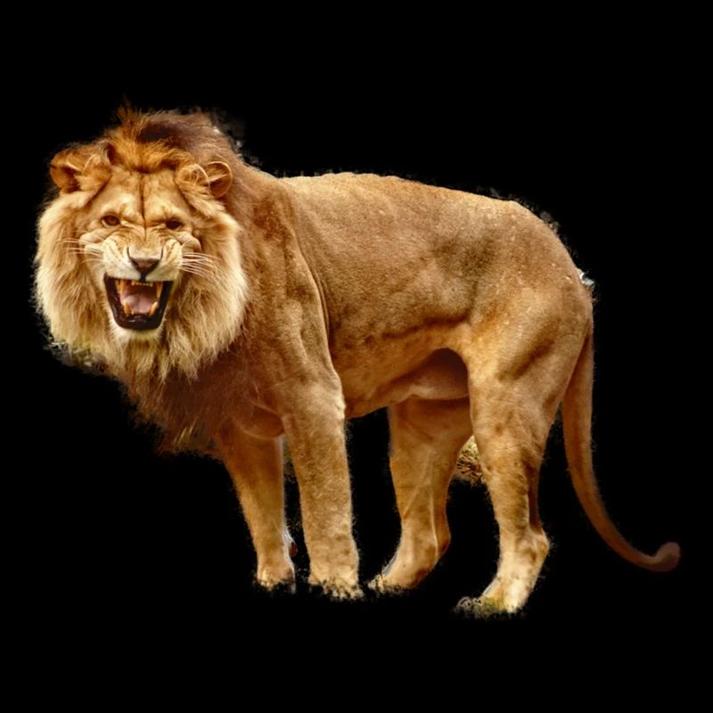 Löwe