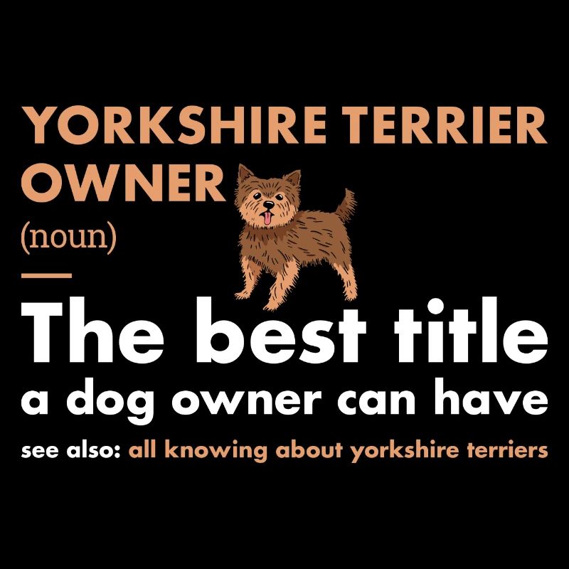 Yorkshire Terrier Définition du propriétaire