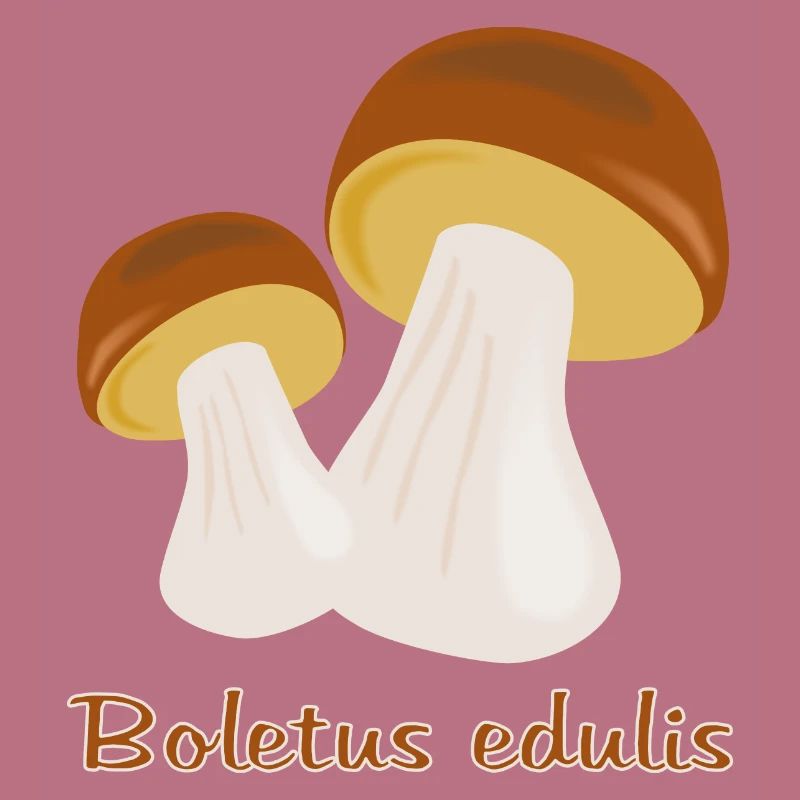 Champignons d’automne