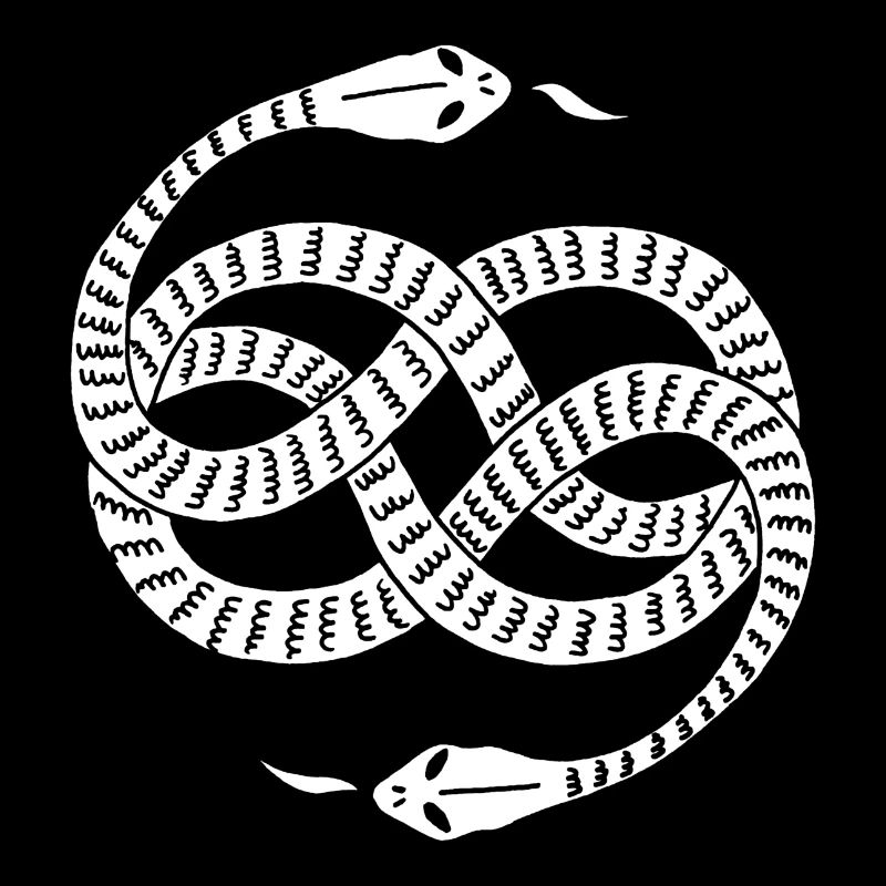 Infinite White Snakes