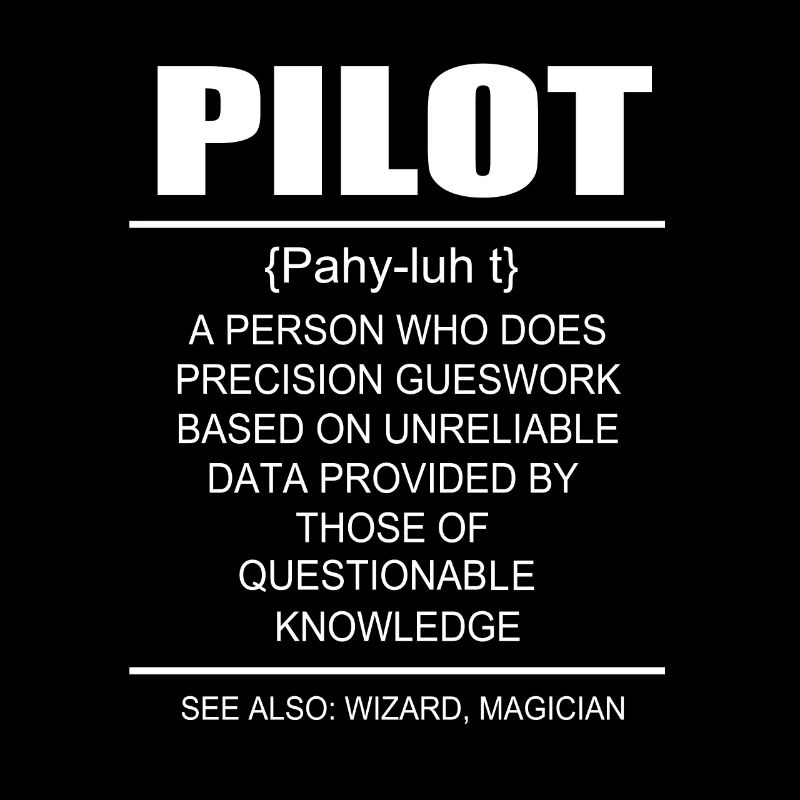Pilote d’avion