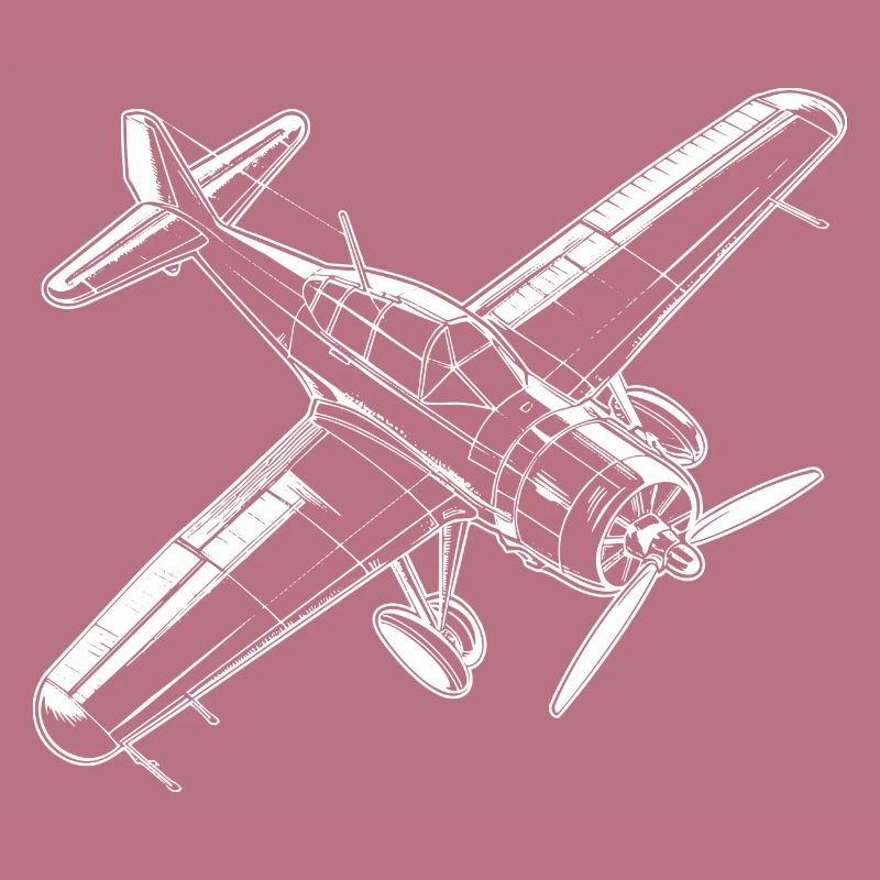 Propeller plane