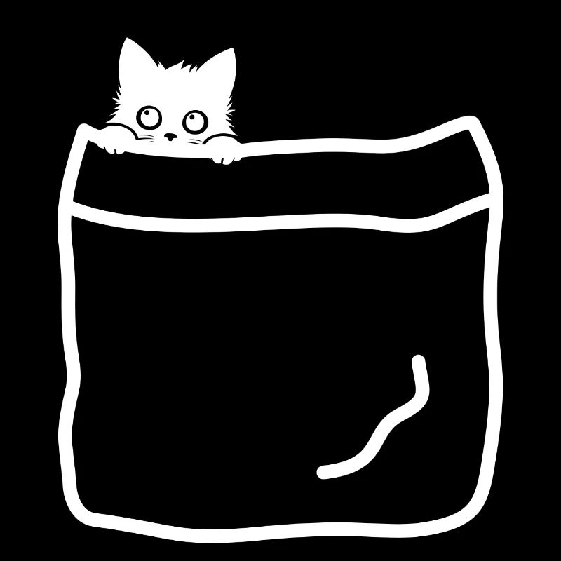 Chats de poche