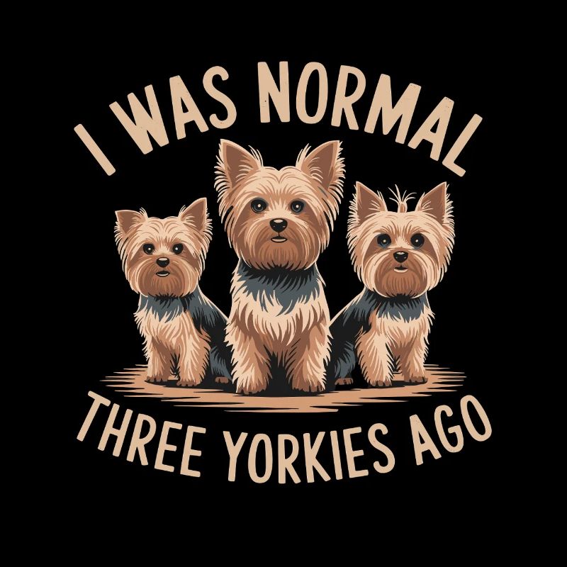 J’étais normal devant trois Yorkies Yorkshire Terrier