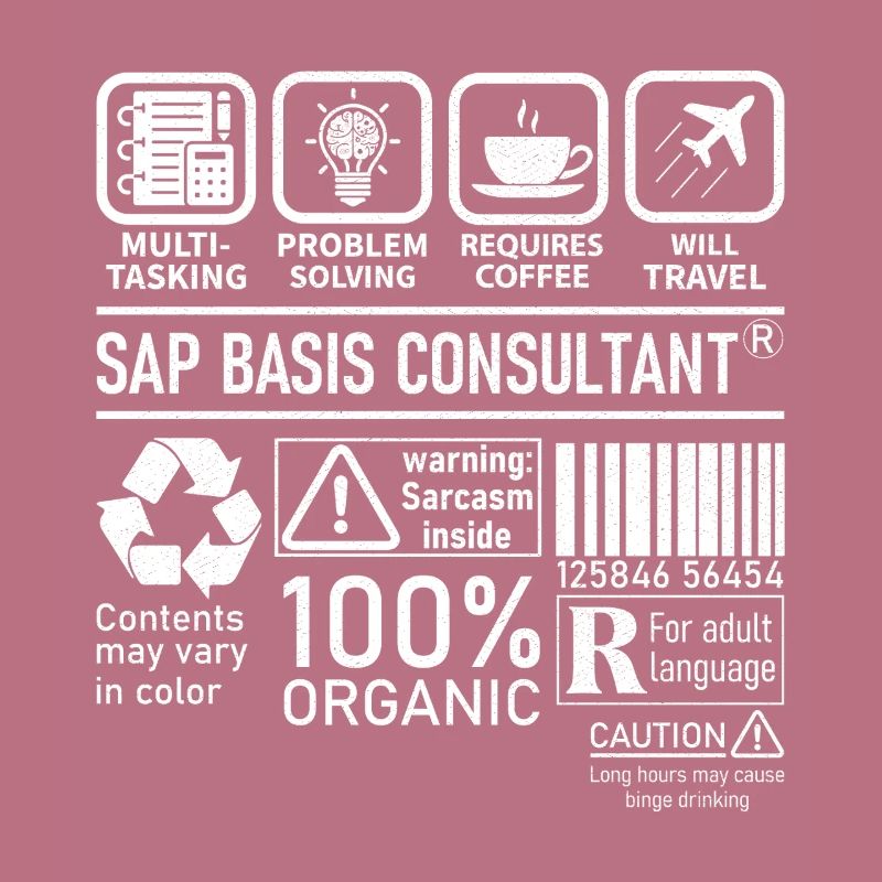 Sap Basis Consultant multi tasking problem solving