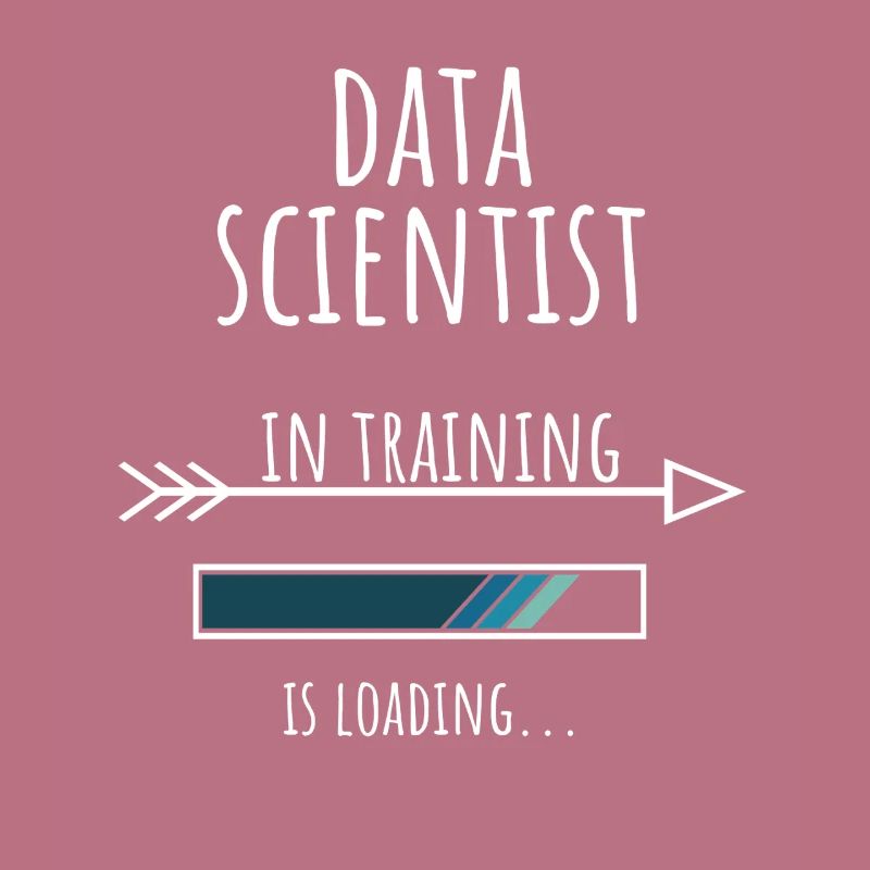 Data Scientist Gift Profession Education
