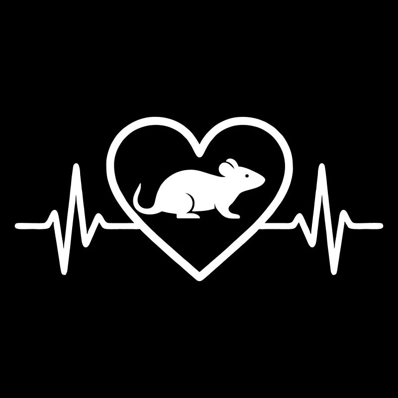 Rat Heart
