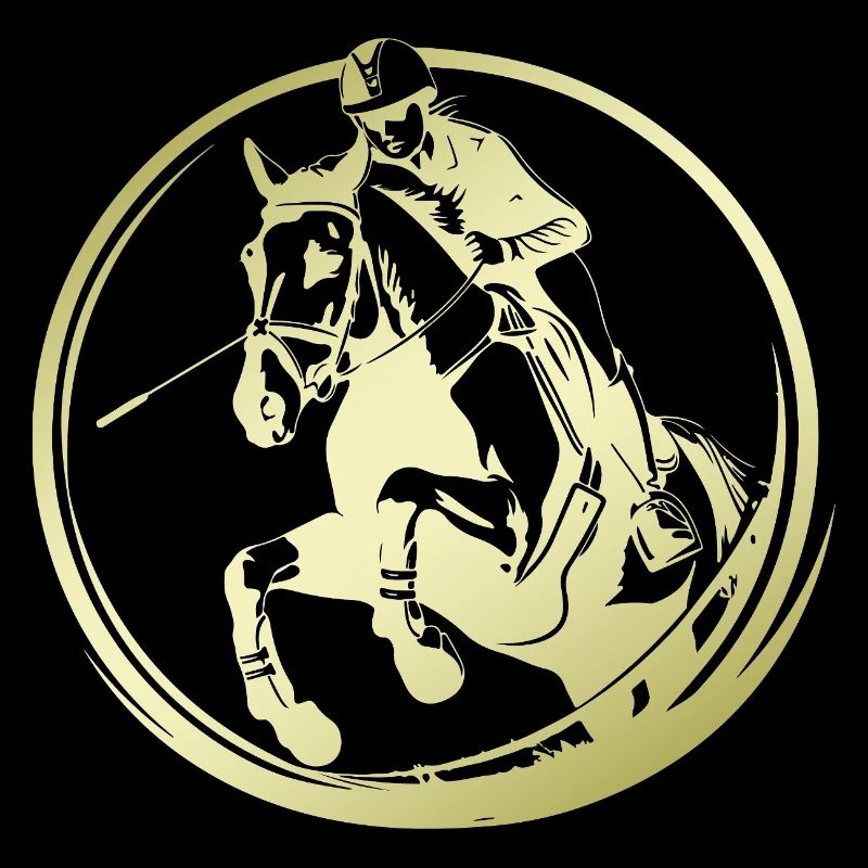 Silhouette de cheval d’équitation