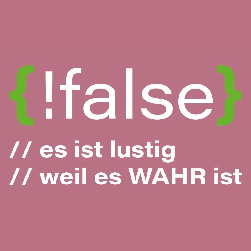 false - Lustiger Programmierer Spruch