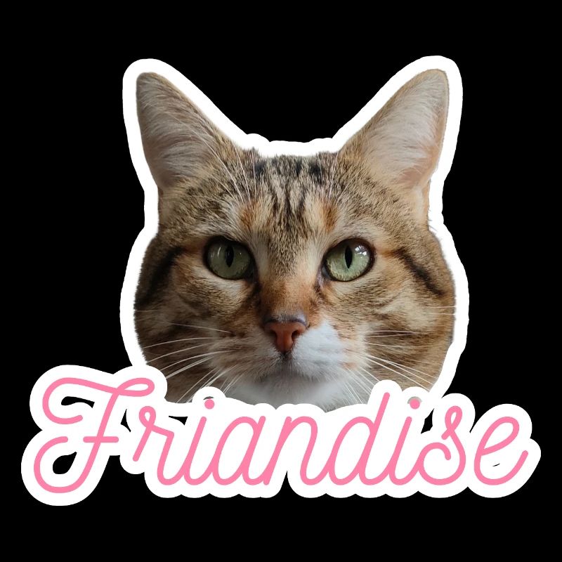 Missty friandise