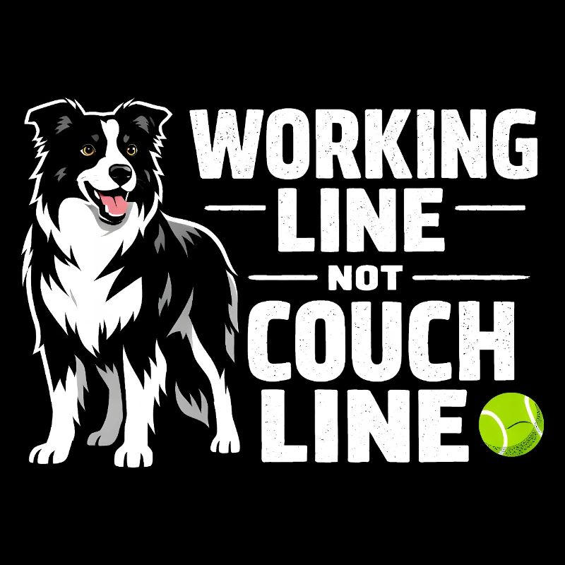 Working line instead of sofa | Border Collie