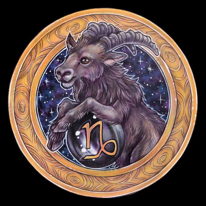 Signe du zodiaque Sternzeichen Steinbock Capricorne