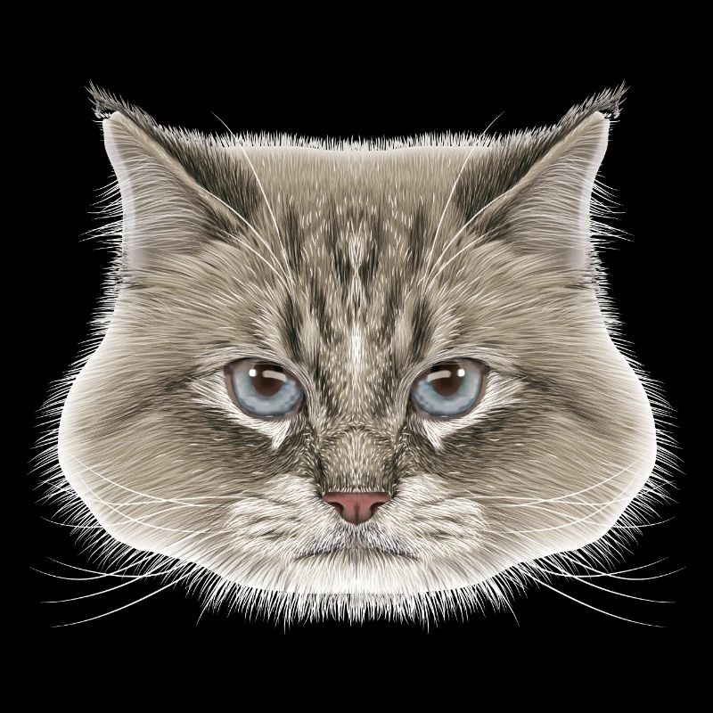 Siberian Cat