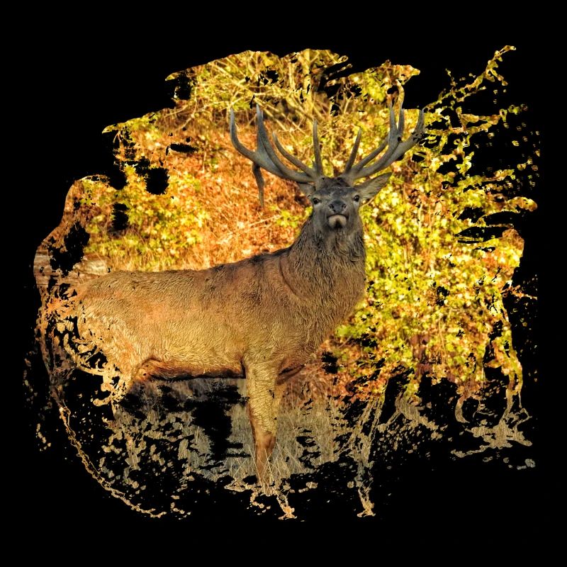 Capital Hirsch released for launch