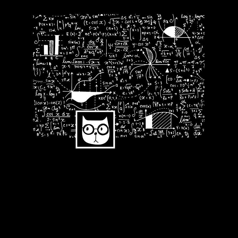 Nerd Schrödinger Physics Big Bang funny gift