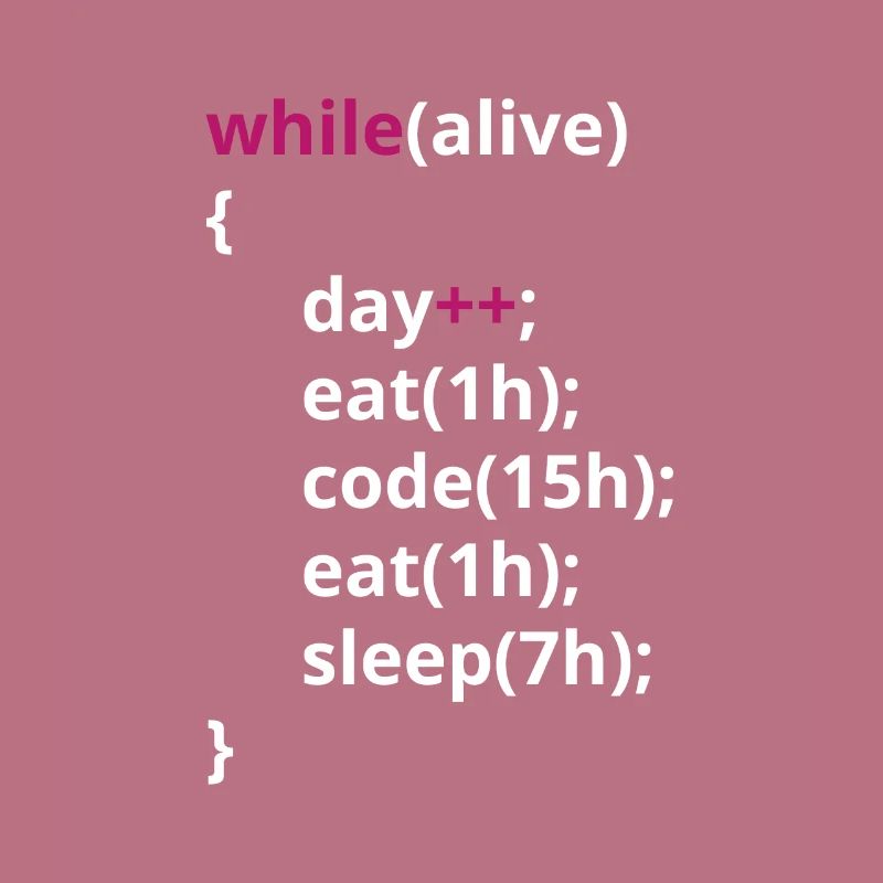 Programmierer Essen Code schlafen lustig PHP