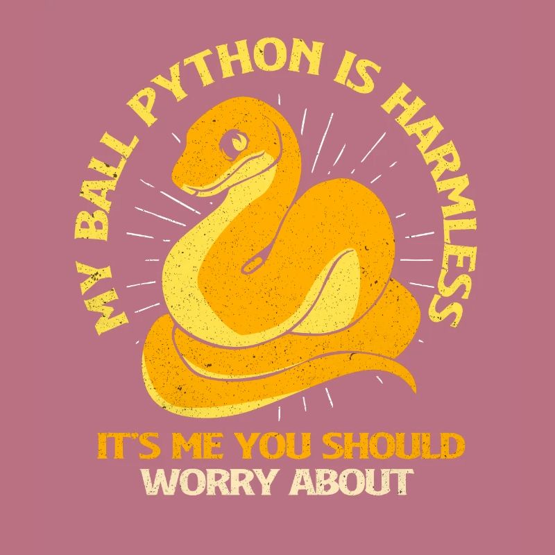 Python