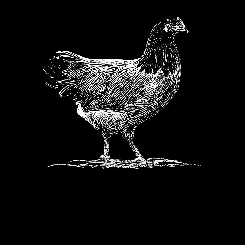 Dessin poulets à prédateurs Idée de cadeau
