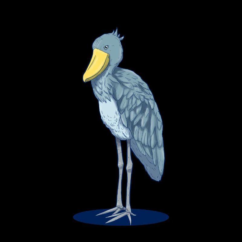 Realistic shoe beak - drawn by hand
