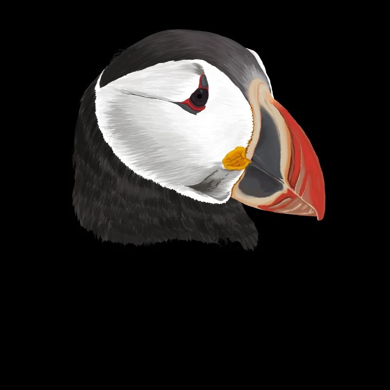 Puffin